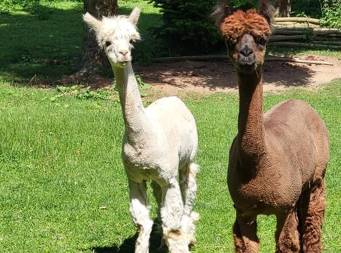 Weidenhof Grosschwabhausen